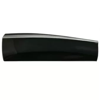 Baguette et bande protectrice, porte arrière gauche (à l'unité) BLIC