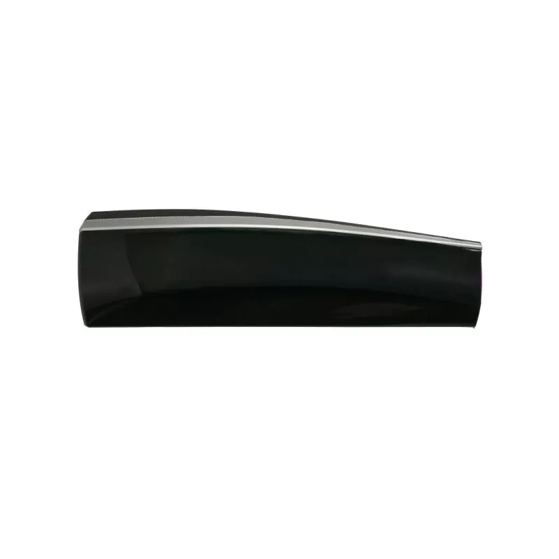 Baguette et bande protectrice, porte arrière gauche (à l'unité) BLIC 5703-04-7807577P