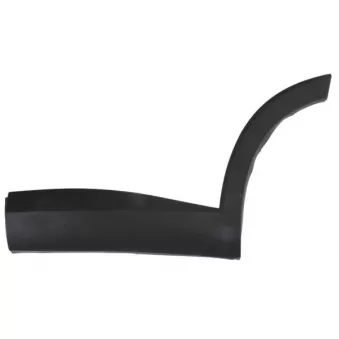 Baguette et bande protectrice, porte avant gauche BLIC