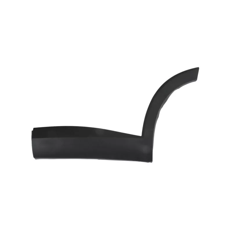 Baguette et bande protectrice, porte avant gauche BLIC 5703-04-7821575P