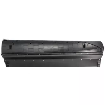 Baguette et bande protectrice, porte avant droit BLIC