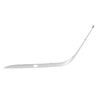 Baguette et bande protectrice, pare-chocs avant gauche (à l'unité) BLIC