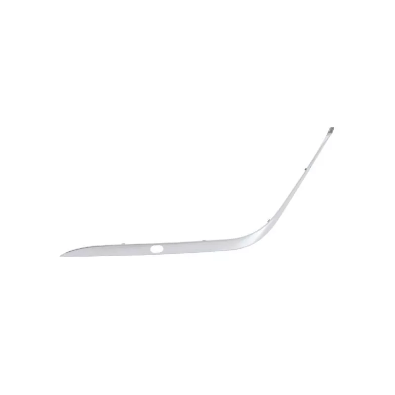 Baguette et bande protectrice, pare-chocs avant gauche (à l'unité) BLIC 5703-05-0075923PP