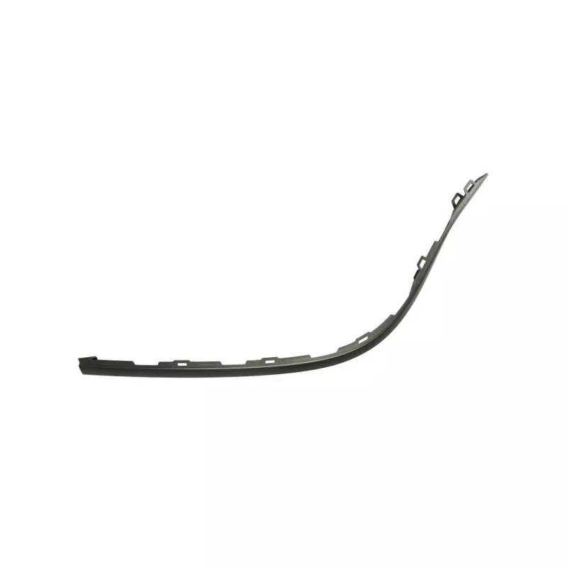 Baguette et bande protectrice, pare-chocs avant droit BLIC 5703-05-3206986P
