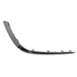 Baguette et bande protectrice, pare-chocs avant gauche BLIC 5703-05-3555911P - Visuel 1