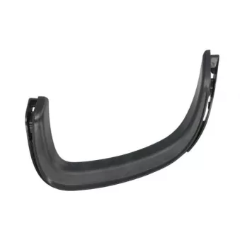 Baguette et bande protectrice, pare-chocs avant gauche BLIC 5703-05-5730971P