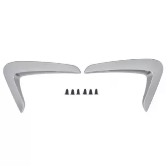 Baguette et bande protectrice, aile avant BLIC 5703-08-0070370P