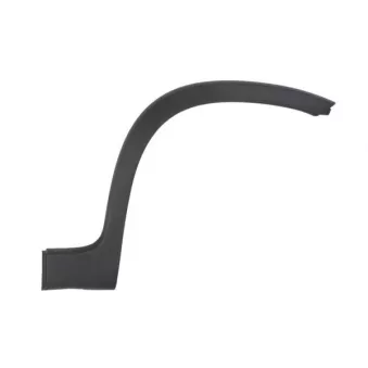 Baguette et bande protectrice, aile avant droit (à l'unité) BLIC