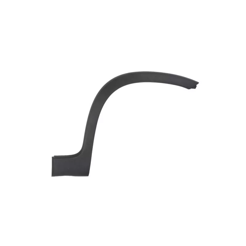 Baguette et bande protectrice, aile avant droit (à l'unité) BLIC 5703-08-2009374P