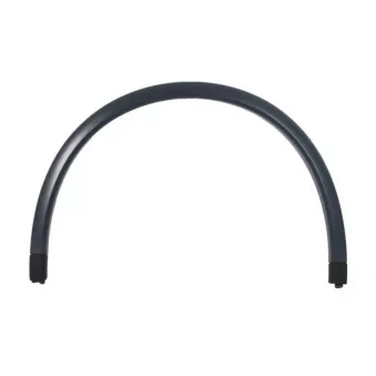 Baguette et bande protectrice, aile avant gauche BLIC 5703-08-5721377P