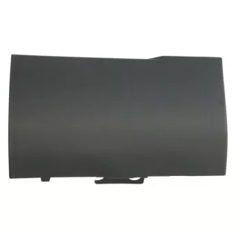 Baguette et bande protectrice, aile avant droit BLIC 5703-08-6460372P