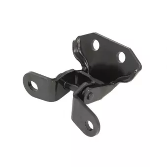 Charnière de porte BLIC