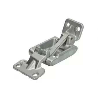 Charnière de porte BLIC