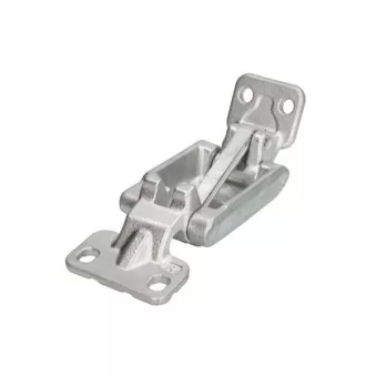 Charnière de porte BLIC