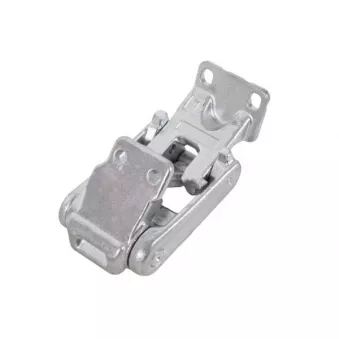 Charnière de porte BLIC