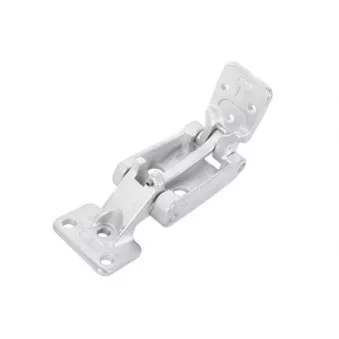 Charnière de porte BLIC