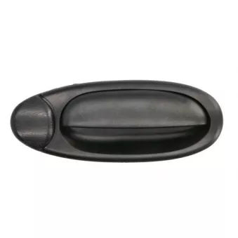 Poignée extérieure de porte (à l'unité) BLIC 6010-07-0329402P