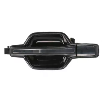 Poignée extérieure de porte avant gauche (à l'unité) BLIC 6010-15-0933403P