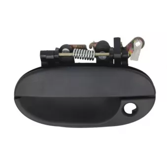 Poignée extérieure de porte avant gauche (à l'unité) BLIC 6010-20-001401PP