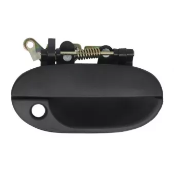 Poignée extérieure de porte (à l'unité) BLIC