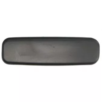 Poignée extérieure de porte avant droit (à l'unité) BLIC 6010-21-015410PO