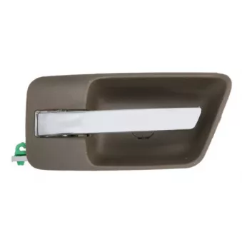 Poignet de porte, équipment intérieur avant gauche (à l'unité) BLIC 6010-58-011409PPP