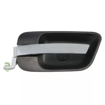 Poignet de porte, équipment intérieur avant gauche (à l'unité) BLIC 6010-58-011409PPPP