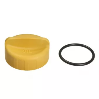 Bouchon, réservoir de carburant BLIC 6011-00-00001P