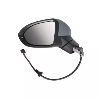 Rétroviseur extérieur BLIC 6102-01-2297310P