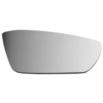 Verre de rétroviseur, rétroviseur extérieur BLIC 6102-01-2339313P