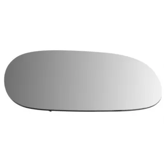 Verre de rétroviseur, rétroviseur extérieur BLIC 6102-02-1252528P