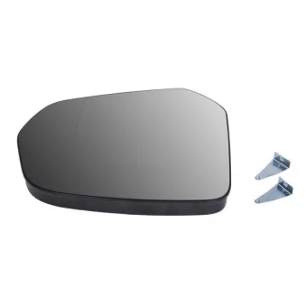 Verre de rétroviseur, rétroviseur extérieur BLIC 6102-03-2402311P