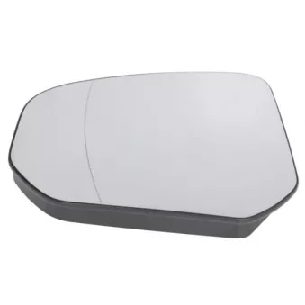 Verre de rétroviseur, rétroviseur extérieur BLIC 6102-03-2402312P