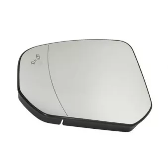 Verre de rétroviseur, rétroviseur extérieur BLIC 6102-03-2402314P