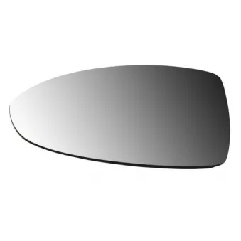 Verre de rétroviseur, rétroviseur extérieur BLIC 6102-07-2590310P