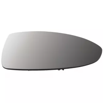 Verre de rétroviseur, rétroviseur extérieur BLIC 6102-07-2590311P