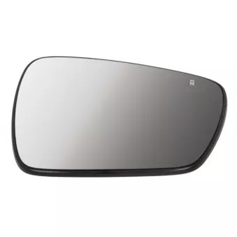 Verre de rétroviseur, rétroviseur extérieur BLIC 6102-09-2002143P