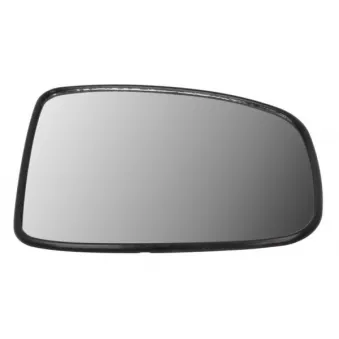 Verre de rétroviseur, rétroviseur extérieur BLIC 6102-12-0499313P