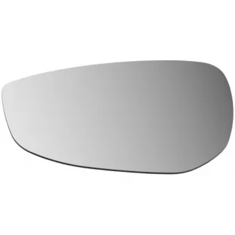 Verre de rétroviseur, rétroviseur extérieur BLIC 6102-14-2319314P