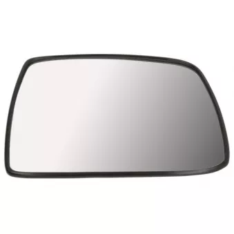 Verre de rétroviseur, rétroviseur extérieur BLIC 6102-20-0529311P