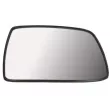 Verre de rétroviseur, rétroviseur extérieur BLIC 6102-20-0529313P - Visuel 1