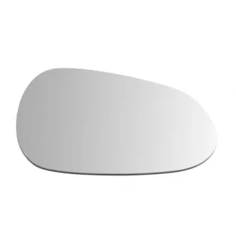 Verre de rétroviseur, rétroviseur extérieur BLIC 6102-22-0020310P