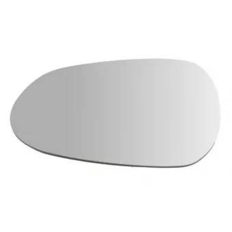 Verre de rétroviseur, rétroviseur extérieur BLIC 6102-22-0020311P