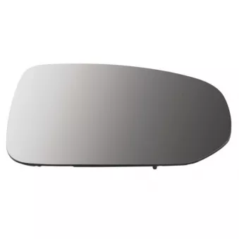 Verre de rétroviseur, rétroviseur extérieur BLIC 6102-24-2025311P
