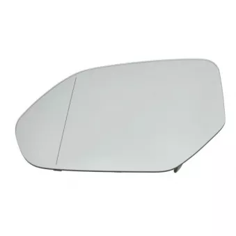 Verre de rétroviseur, rétroviseur extérieur BLIC 6102-25-2164312P