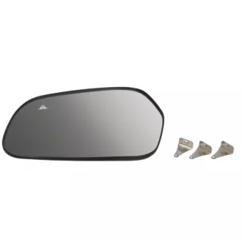 Verre de rétroviseur, rétroviseur extérieur BLIC 6102-53-2317312P