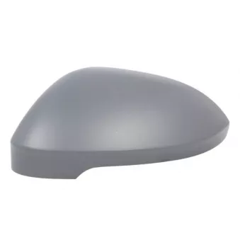 Revêtement, rétroviseur extérieur BLIC 6103-01-2555312P