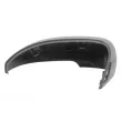 Revêtement, rétroviseur extérieur BLIC 6103-01-2555312P - Visuel 2