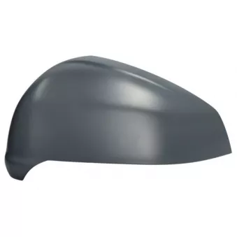 Revêtement, rétroviseur extérieur BLIC 6103-01-2583310P