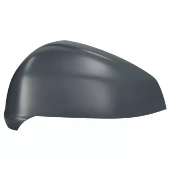 Revêtement, rétroviseur extérieur BLIC 6103-01-2583312P